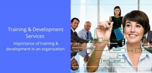Training & Development Services 